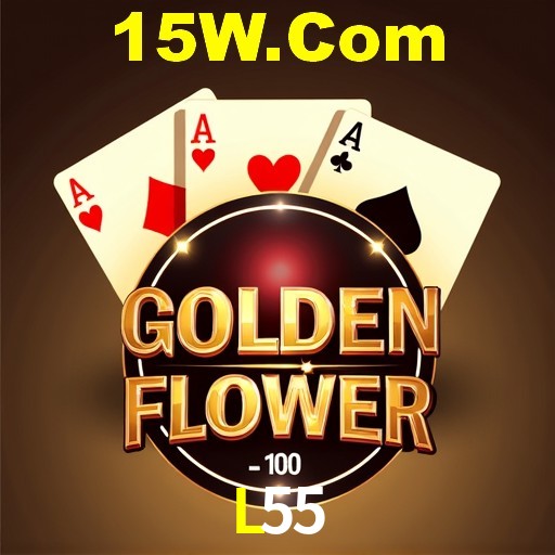 Casino VIP L55